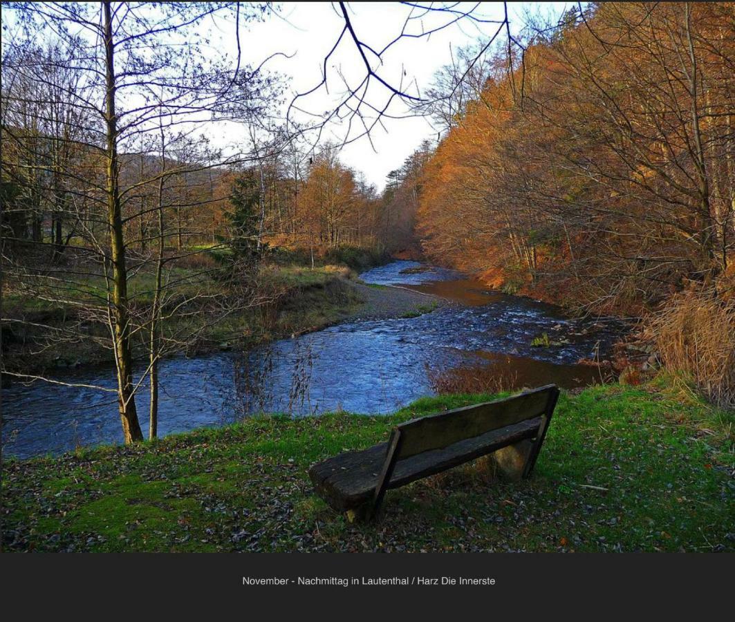 Ferienhaeuser Am Waldschloesschen Lautenthal Exterior foto